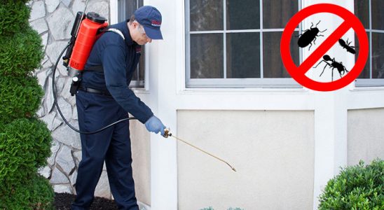 Eruh Böcek İlaçlama böcek ilaçlama ve haşere kontrolü — ilaclama-tr.com